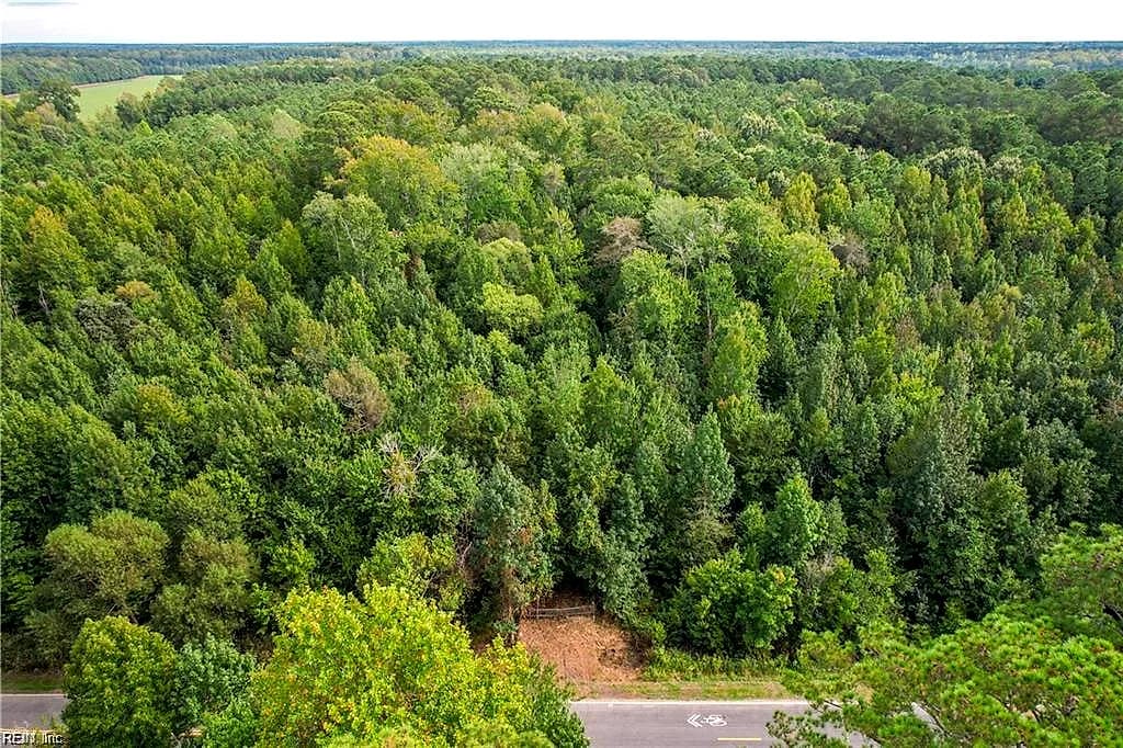 2.5 Ac Dismal Swamp Canal TRL, CHESAPEAKE VA 23322 - Photo 5