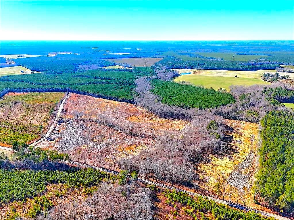 31.5ac Courthouse RD, WAVERLY VA 23890 - Main photo