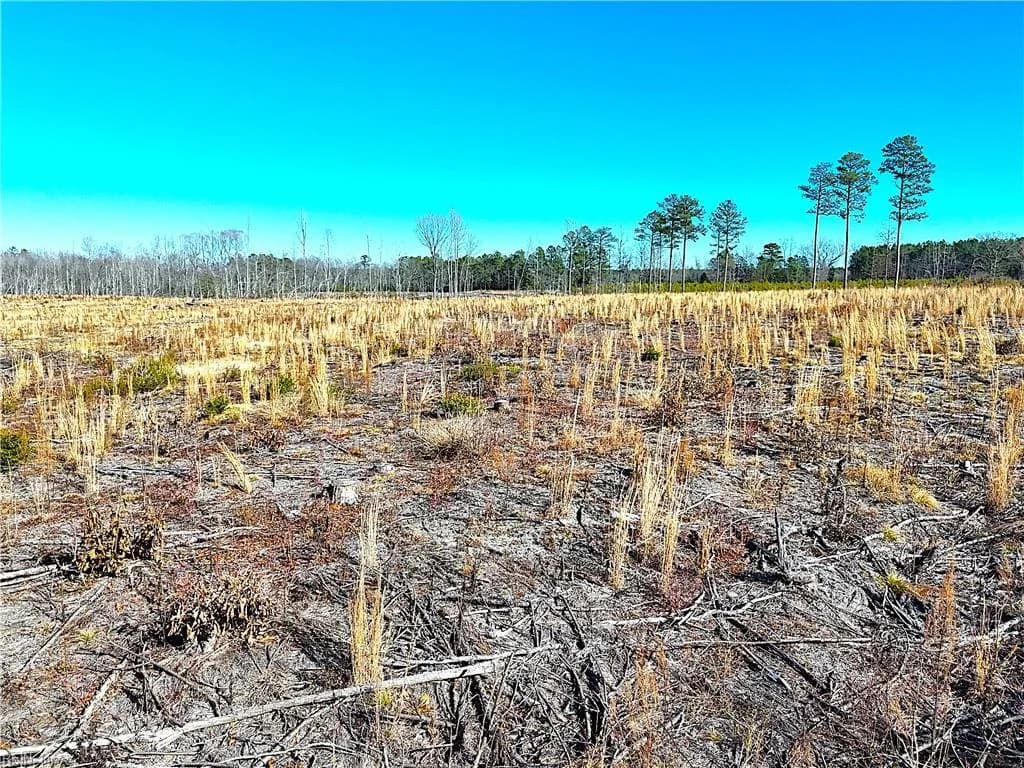 31.5ac Courthouse RD, WAVERLY VA 23890 thumb 11