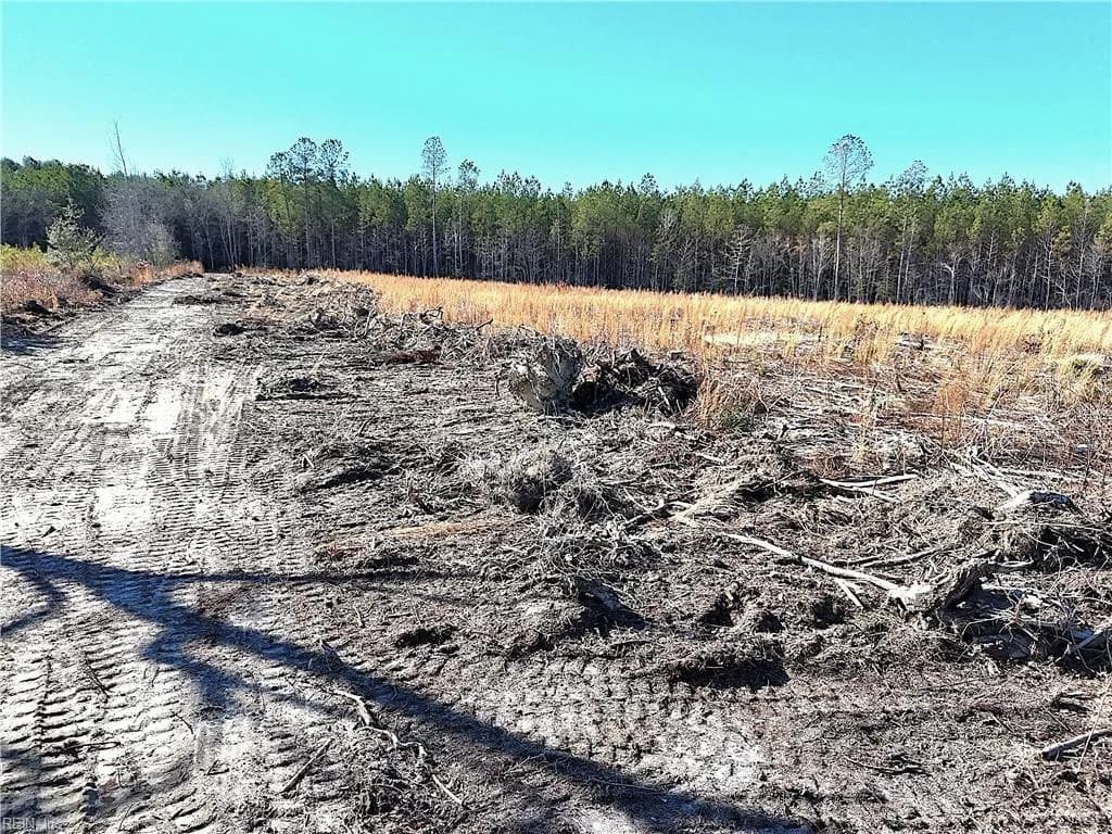 31.5ac Courthouse RD, WAVERLY VA 23890 thumb 12