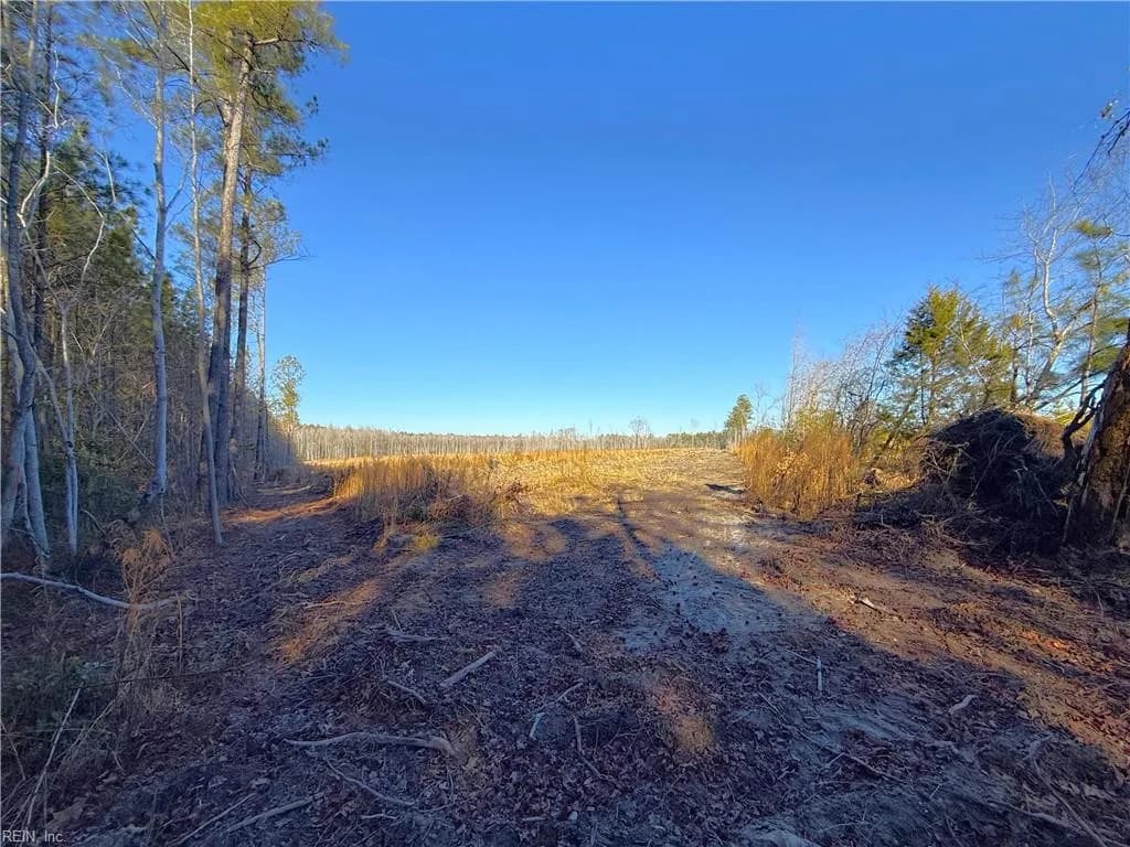 31.5ac Courthouse RD, WAVERLY VA 23890 thumb 7