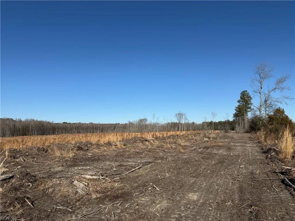 31.5ac Courthouse RD, WAVERLY VA 23890 thumb 8
