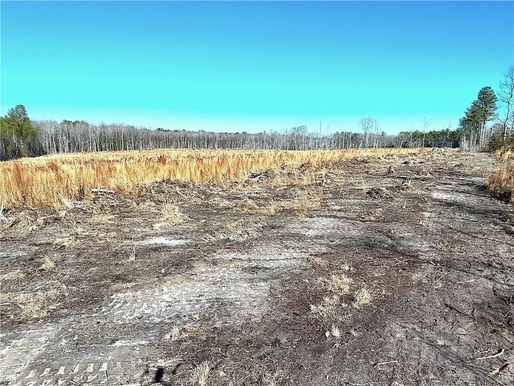 31.5ac Courthouse RD, WAVERLY VA 23890 thumb 9