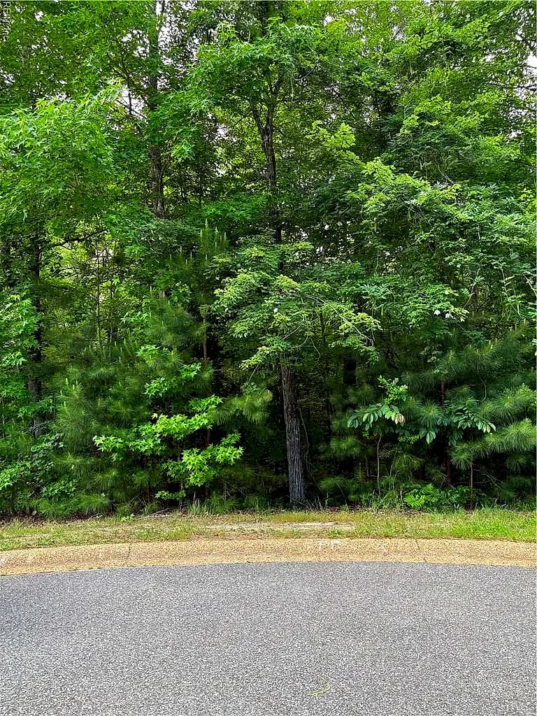 119 Hurlston, Williamsburg, VA 23188, USA - Photo 3