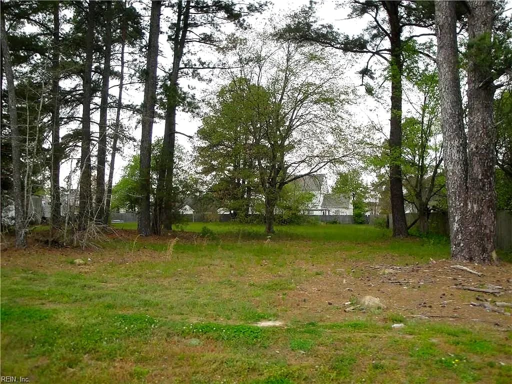 .51ac Holland RD, SUFFOLK VA 23434 - Photo 3