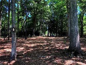Lot 9 Harbour RDG, SMITHFIELD VA 23430 thumb 6