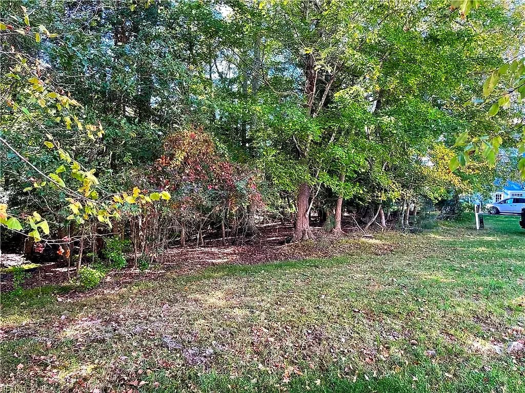 107 Batten CV, CARROLLTON VA 23314 thumb 10
