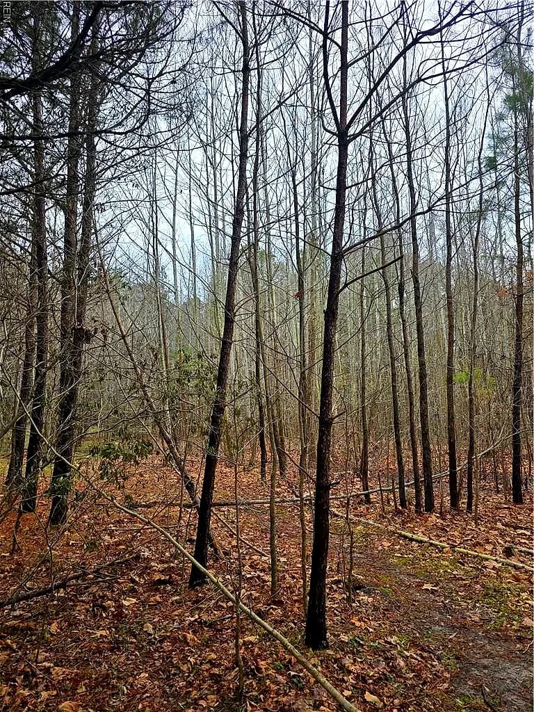 4200 John (304362300) ST, SUFFOLK VA 23435 - Photo 2