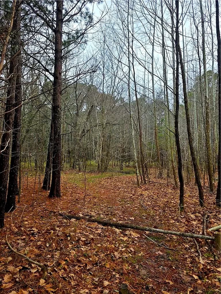 4200 John (304362300) ST, SUFFOLK VA 23435 - Photo 3