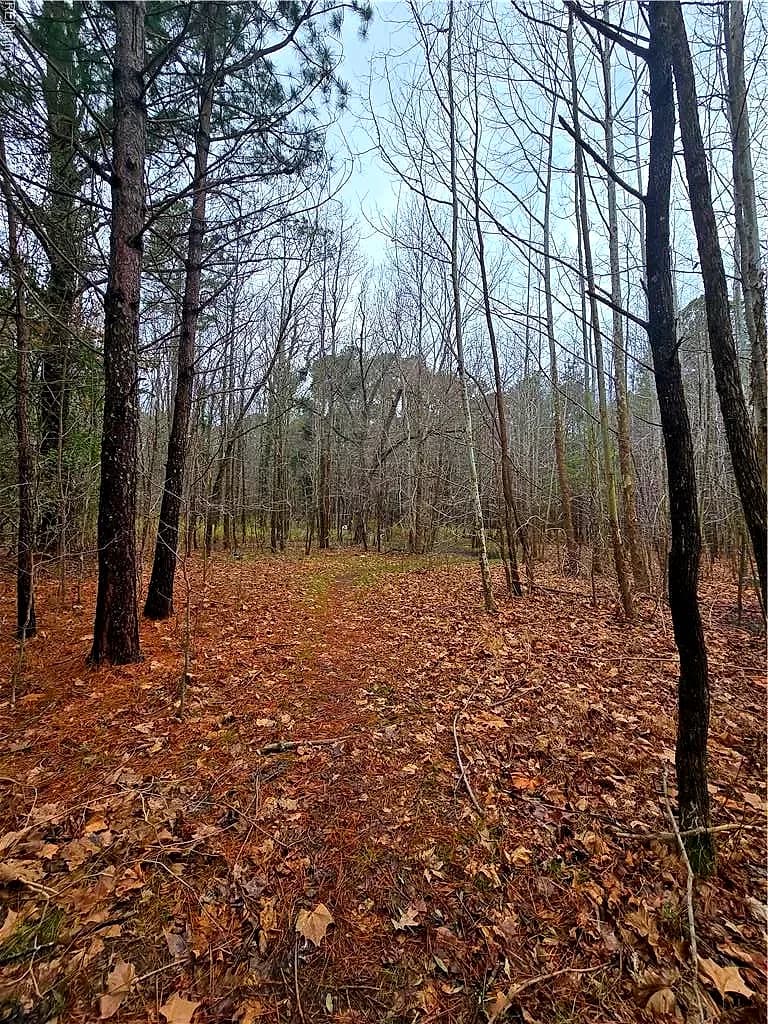 4200 John (304362300) ST, SUFFOLK VA 23435 - Photo 4