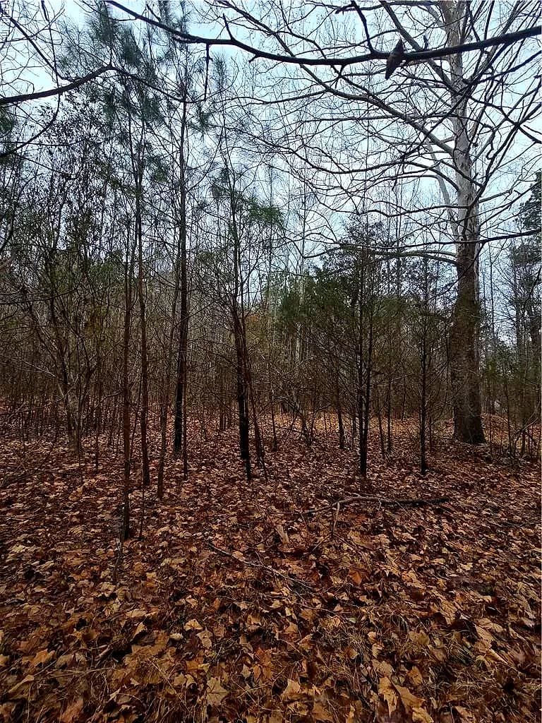 4200 John (304362300) ST, SUFFOLK VA 23435 - Photo 5