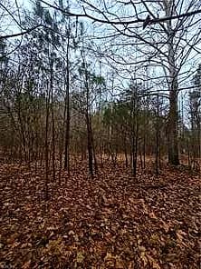 4200 John (304362300) ST, SUFFOLK VA 23435 thumb 5