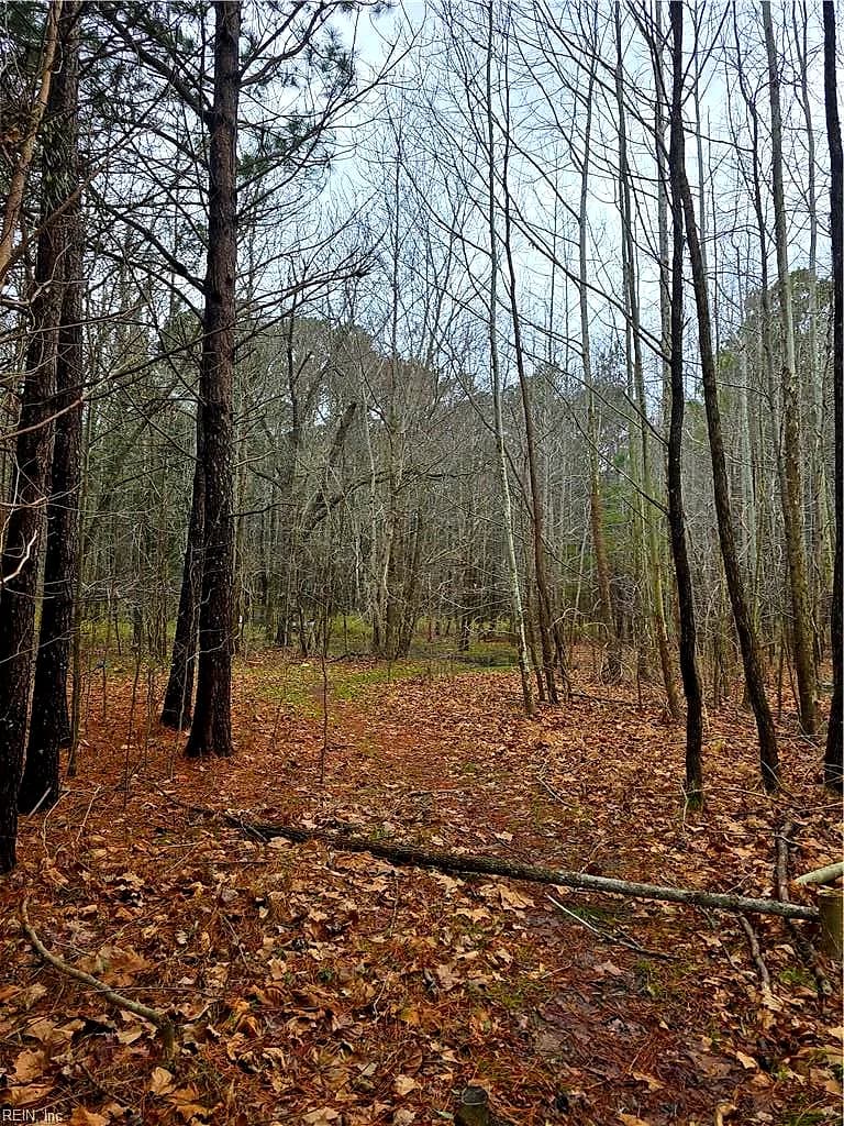 4200 John (301728600) ST, SUFFOLK VA 23435 - Photo 2
