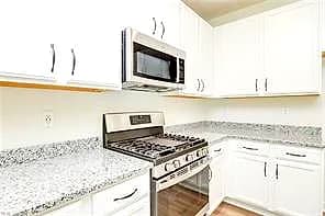 1008 Serene RD #101, SUFFOLK VA 23435 thumb 8