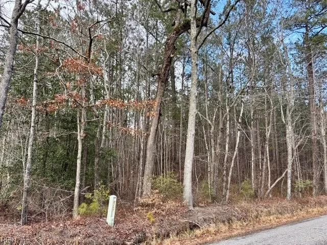 108 AC New &amp; Seacock Chapel RD, IVOR VA 23866 thumb 11