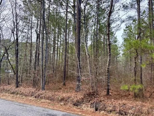 108 AC New &amp; Seacock Chapel RD, IVOR VA 23866 thumb 12