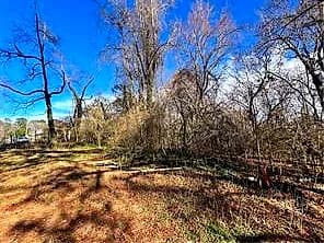 Lot 19 Douglas AVE, CHESAPEAKE VA 23323 - Photo 2