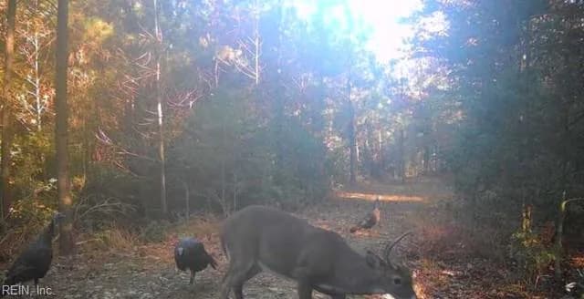 Lot 6 Fox Chase DR, DENDRON VA 23839 - Main photo