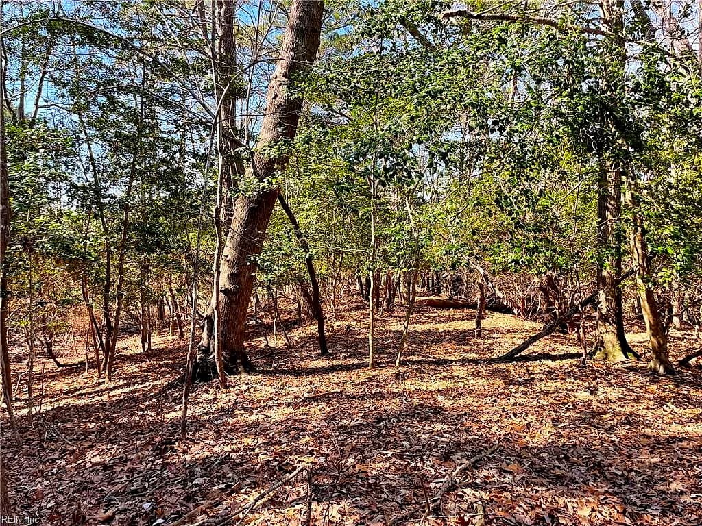 Lot129 Patriots RDG, CARROLLTON VA 23314 - Photo 5