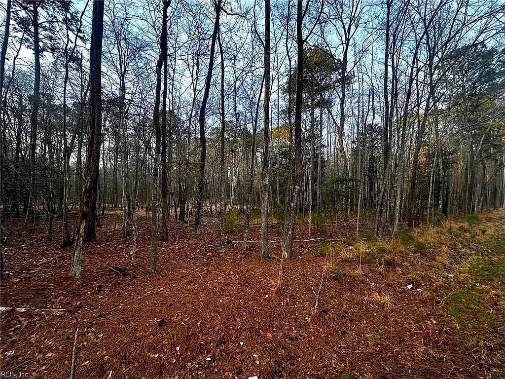 1.58AC General Thomas HWY, NEWSOMS VA 23874 thumb 12
