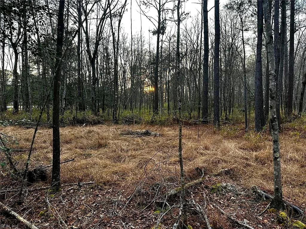 1.58AC General Thomas HWY, NEWSOMS VA 23874 - Photo 3