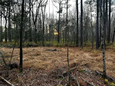 1.58AC General Thomas HWY, NEWSOMS VA 23874 thumb 3
