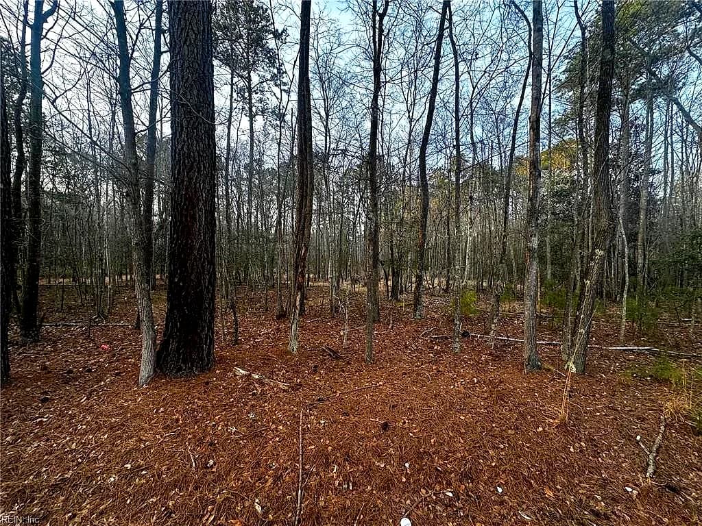 1.58AC General Thomas HWY, NEWSOMS VA 23874 - Photo 4
