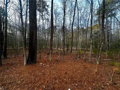 1.58AC General Thomas HWY, NEWSOMS VA 23874 thumb 4