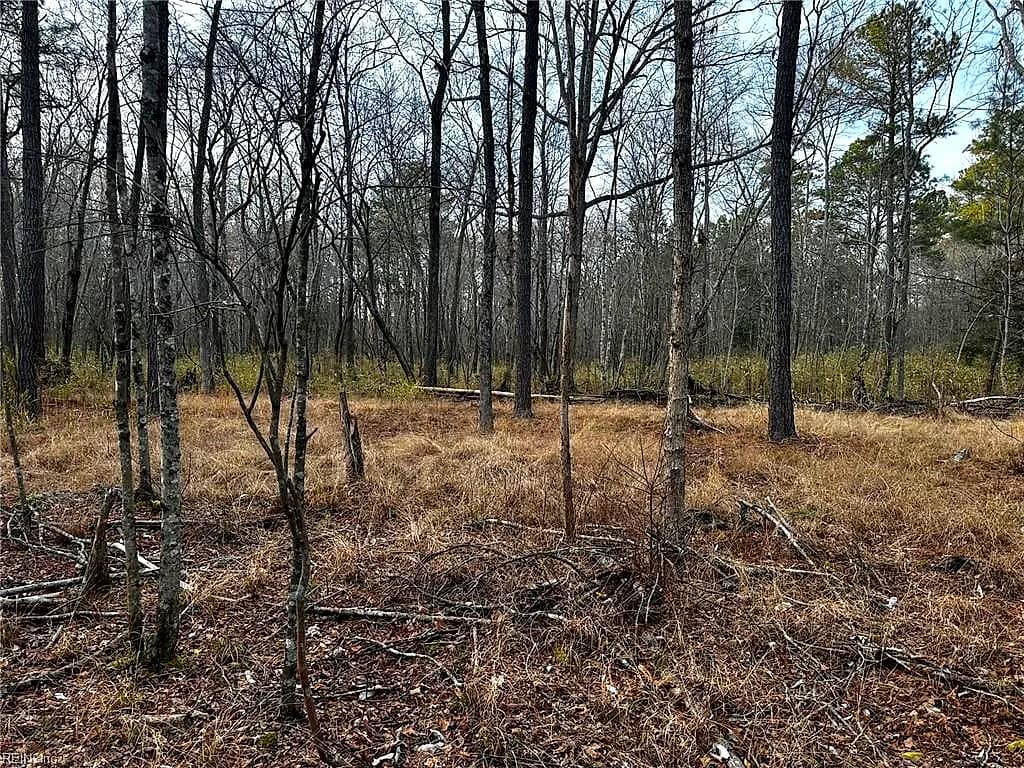 1.58AC General Thomas HWY, NEWSOMS VA 23874 - Photo 5
