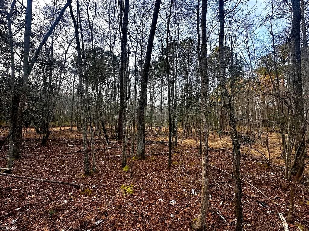 1.58AC General Thomas HWY, NEWSOMS VA 23874 thumb 6
