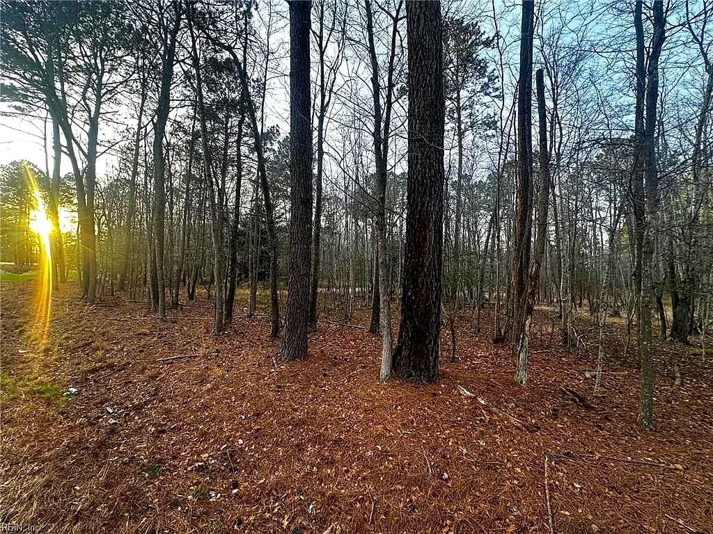 1.58AC General Thomas HWY, NEWSOMS VA 23874 thumb 8