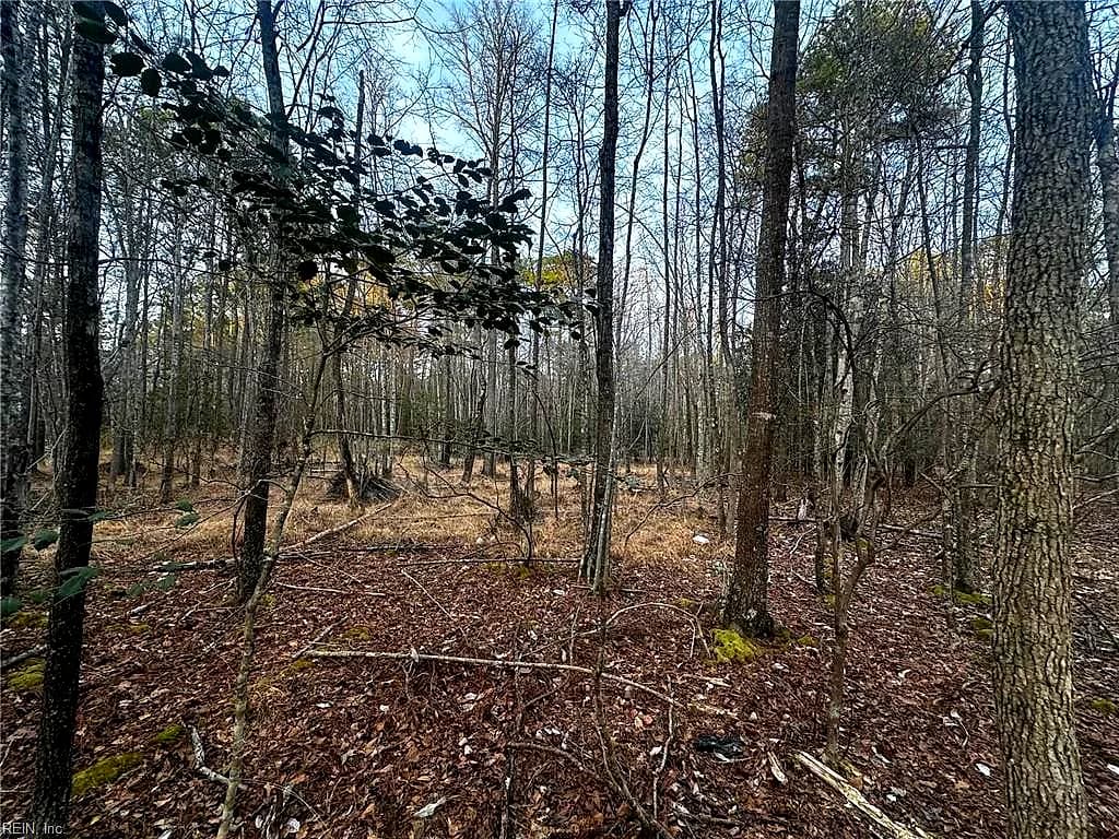 1.58AC General Thomas HWY, NEWSOMS VA 23874 thumb 9