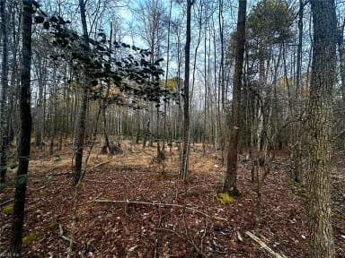 1.58AC General Thomas HWY, NEWSOMS VA 23874 thumb 9