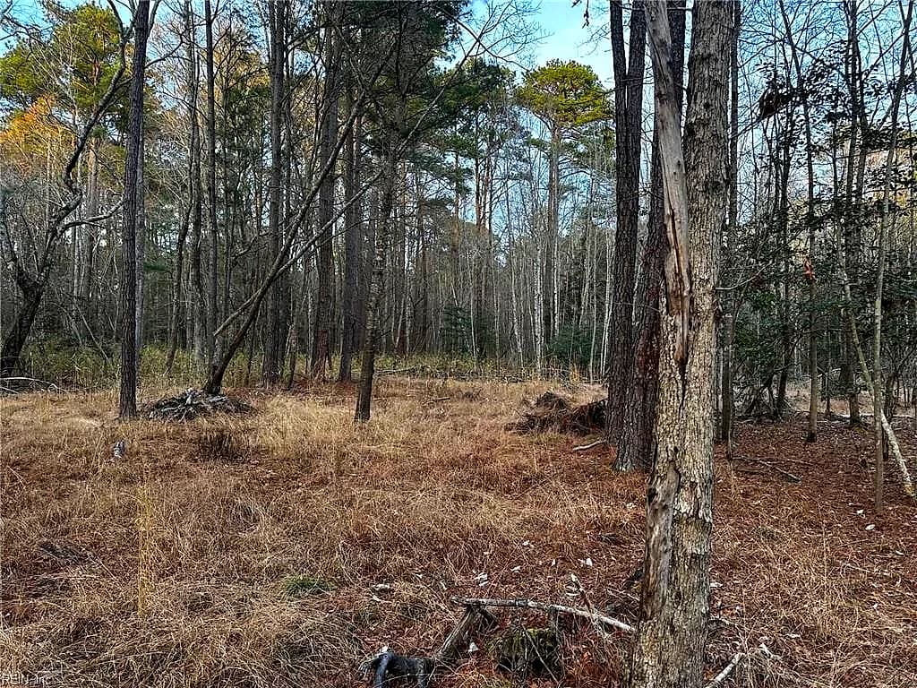 1.58AC General Thomas HWY, NEWSOMS VA 23874 thumb 10