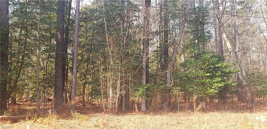 70 Homestead LN, FRANKLIN VA 23851 - Main photo