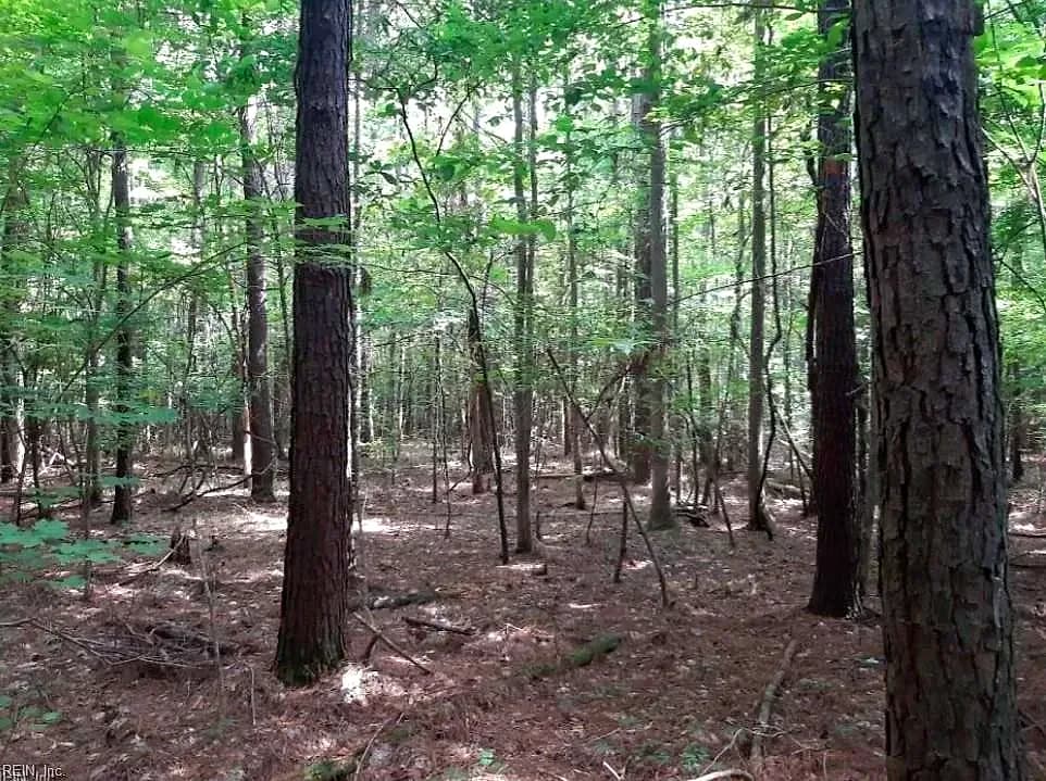 6636 Blackwater RD, VIRGINIABEACH VA 23457 - Photo 3