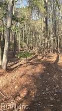 18+AC Pepper Creek RD, SUSAN VA 23163 - Main photo