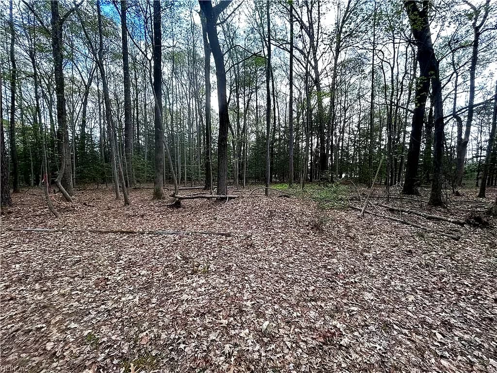 0.92AC Fenwood CT, SMITHFIELD VA 23430 - Photo 4