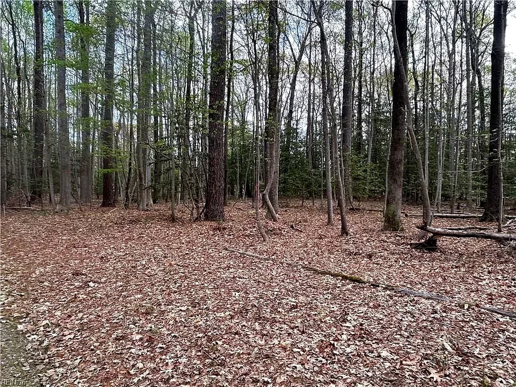 0.92AC Fenwood CT, SMITHFIELD VA 23430 - Photo 5