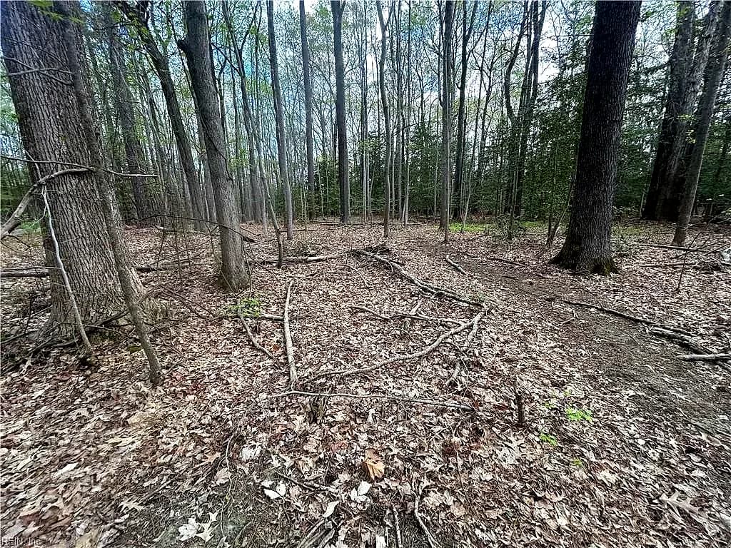 0.92AC Fenwood CT, SMITHFIELD VA 23430 thumb 6