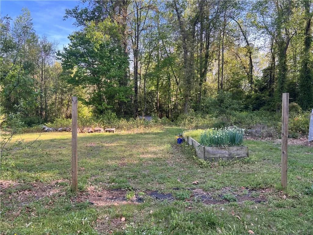 36210 Owens Grove RD, WAVERLY VA 23890 thumb 7