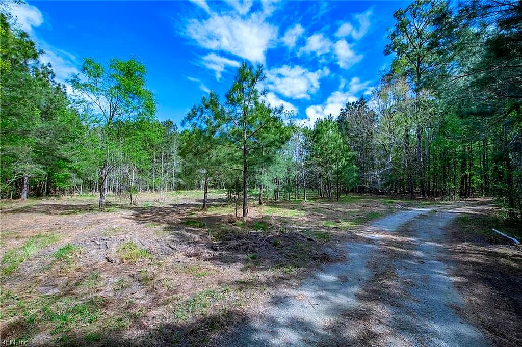 25+AC Brewers Neck BLVD, CARROLLTON VA 23314 - Photo 3