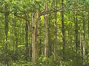 .26+AC Nansemond PW, SUFFOLK VA 23434 - Main photo