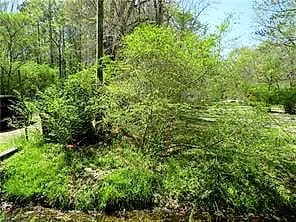 2716 Seven Eleven RD, CHESAPEAKE VA 23322 - Photo 3