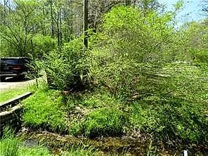 2716 Seven Eleven RD, CHESAPEAKE VA 23322 - Photo 4