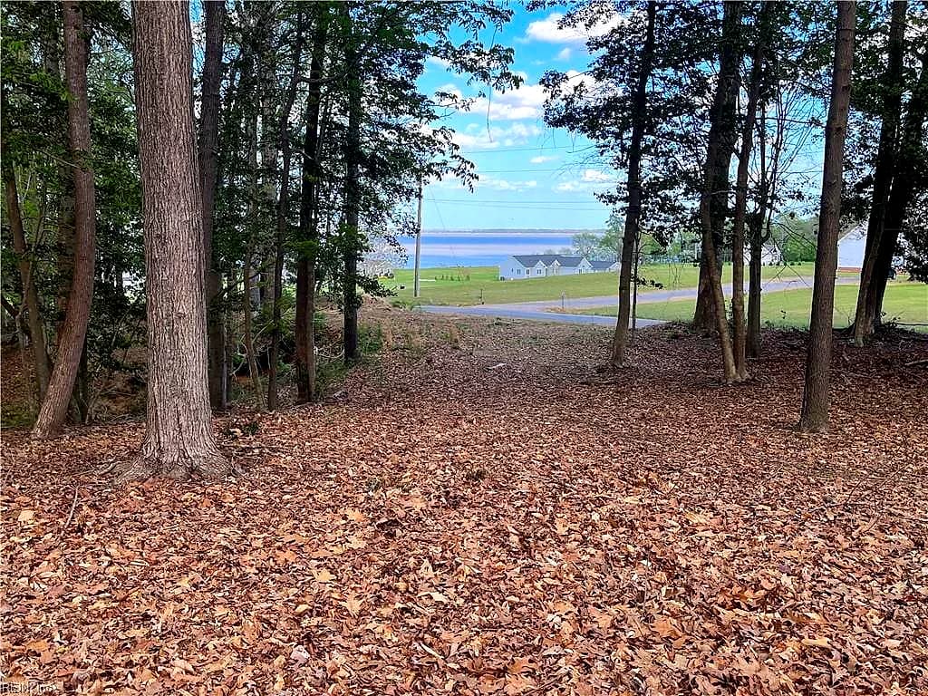 Lot 1 Cobham Wharf RD, SURRY VA 23883 - Photo 2
