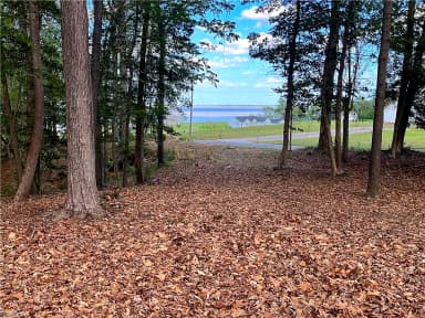 Lot 1 Cobham Wharf RD, SURRY VA 23883 thumb 2