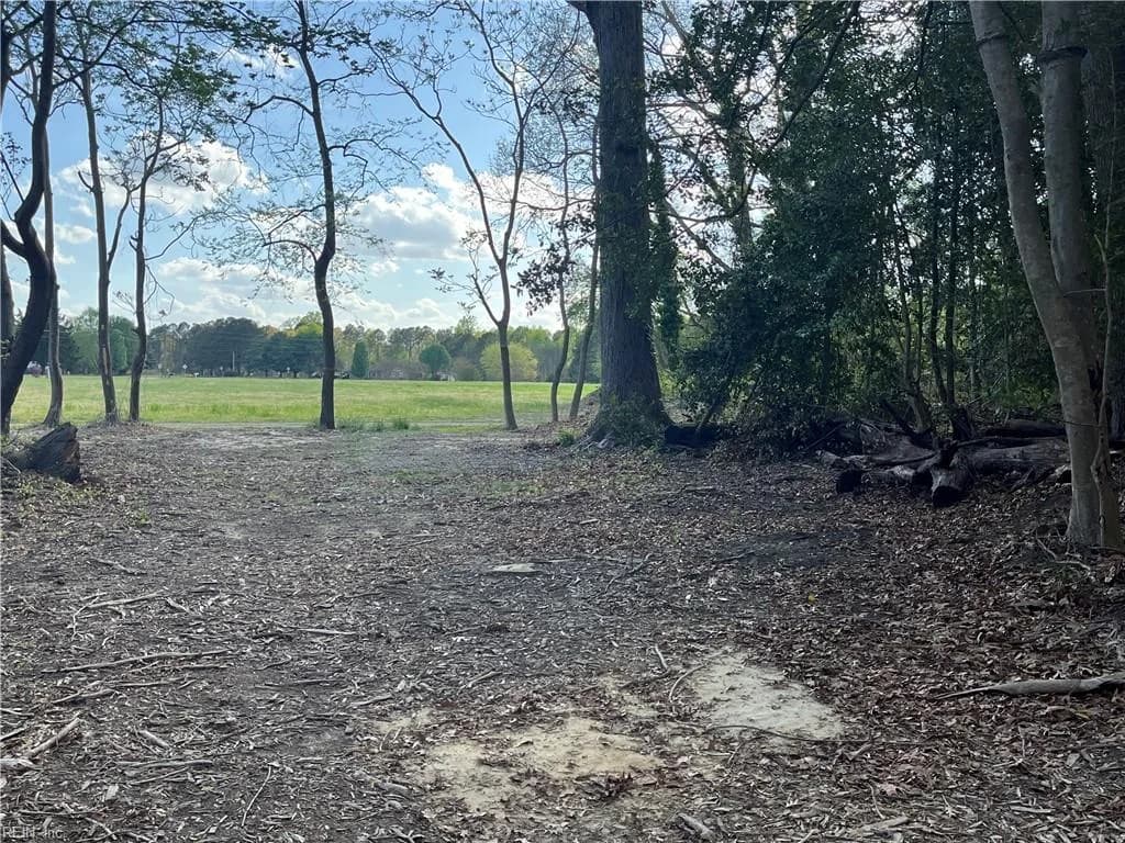 Lot 1 Cobham Wharf RD, SURRY VA 23883 thumb 11