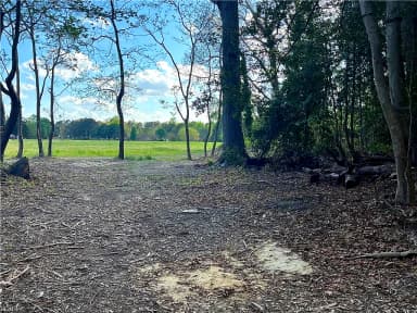 Lot 1 Cobham Wharf RD, SURRY VA 23883 thumb 11