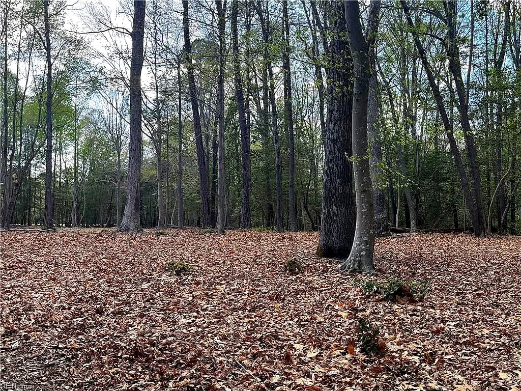 Lot 1 Cobham Wharf RD, SURRY VA 23883 - Photo 3